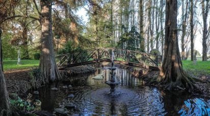 House boat 3 rooms of 183 m² in Mesola (44026)