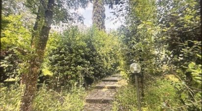 Farm 12 rooms of 289 m² in Figline Valdarno (50063)