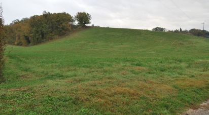 Terreno di 150.000 m² in Fano (61032)