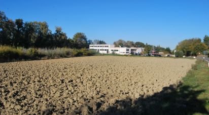 Land of 10,000 m² in Senigallia (60019)