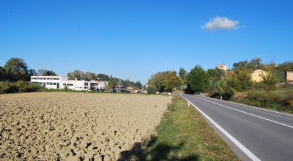 Terreno di 10.000 m² in Senigallia (60019)